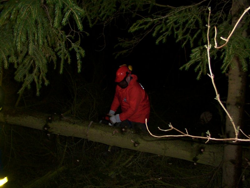 Kleinschneiden des gefällten Baumes
